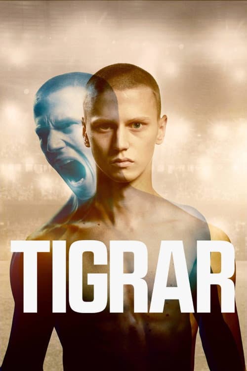 Tigrar afişi
