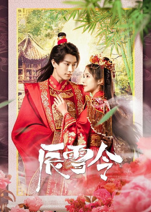 辰雪令 afişi