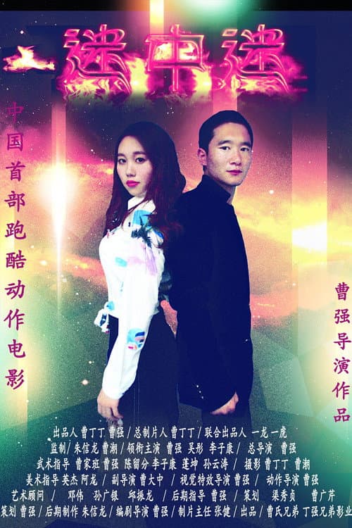 迷中迷 afişi
