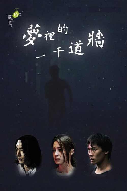 夢裡的一千道牆 afişi