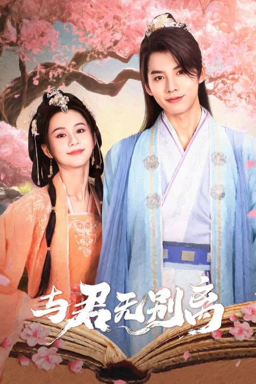 与君无别离 afişi