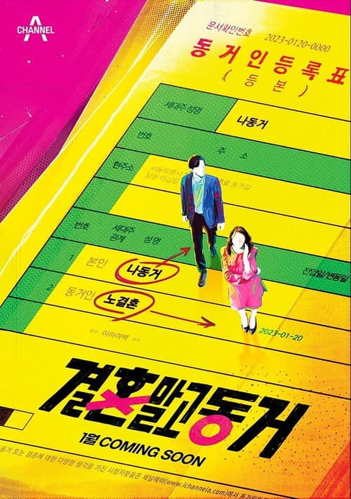결혼 말고 동거 afişi