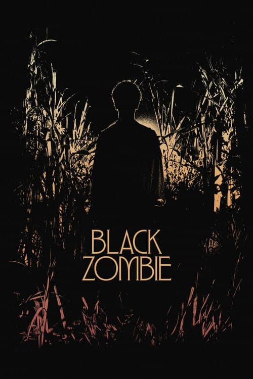 Black Zombie afişi