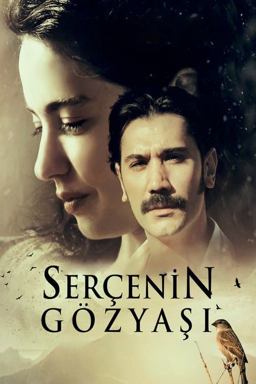 Serçenin Gözyaşı afişi