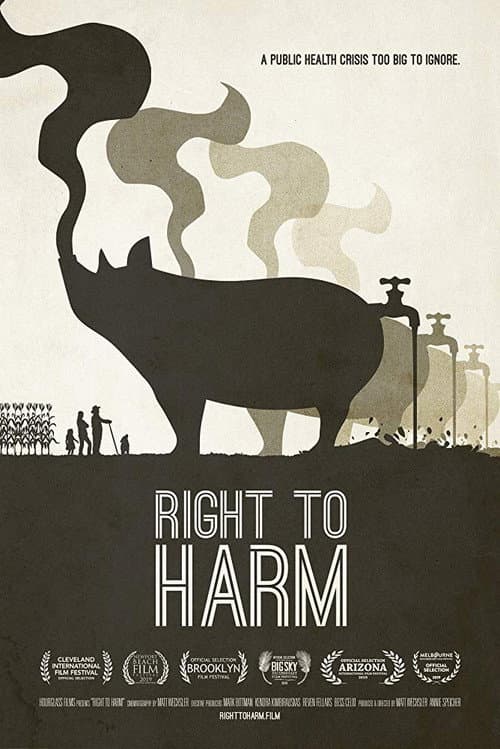Right to Harm afişi