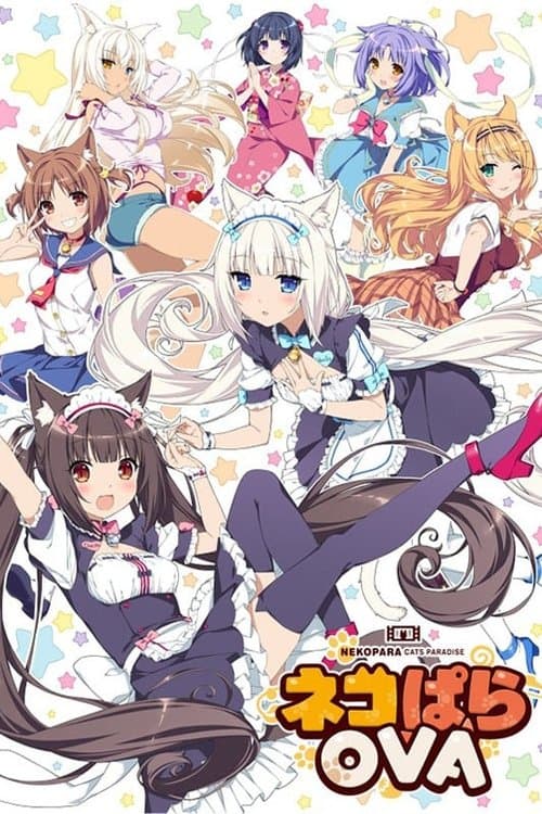 ネコぱらOVA afişi