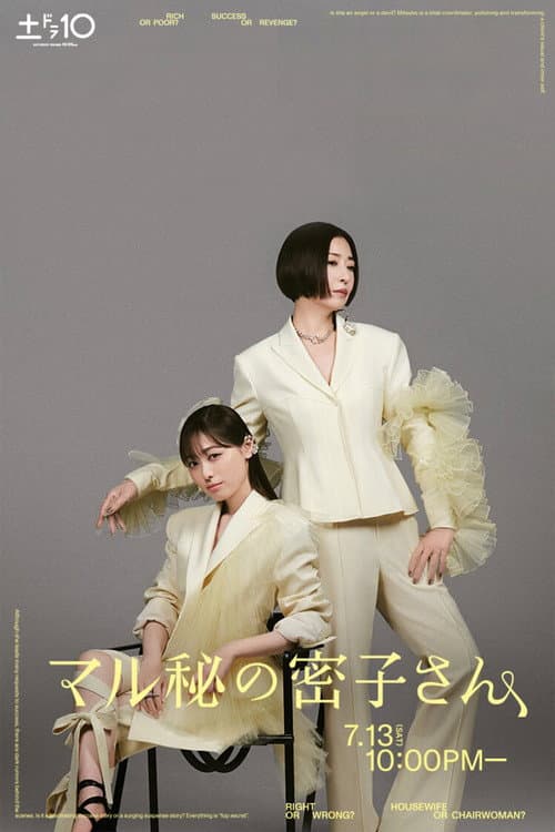 マル秘の密子さん afişi