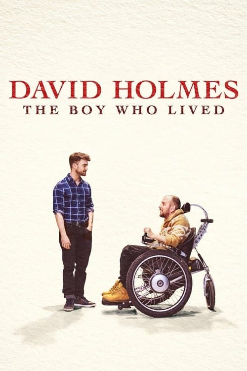 David Holmes: The Boy Who Lived afişi