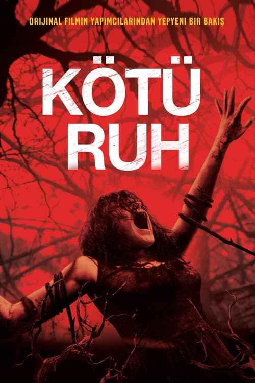 Kötü Ruh afişi