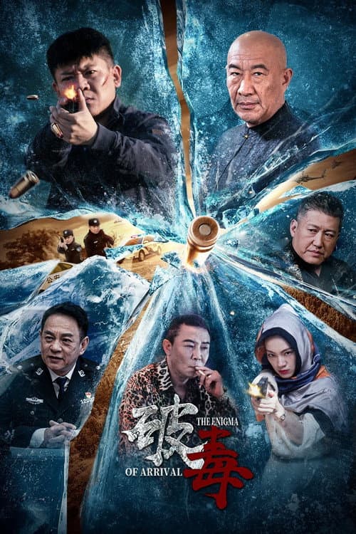 破毒 afişi