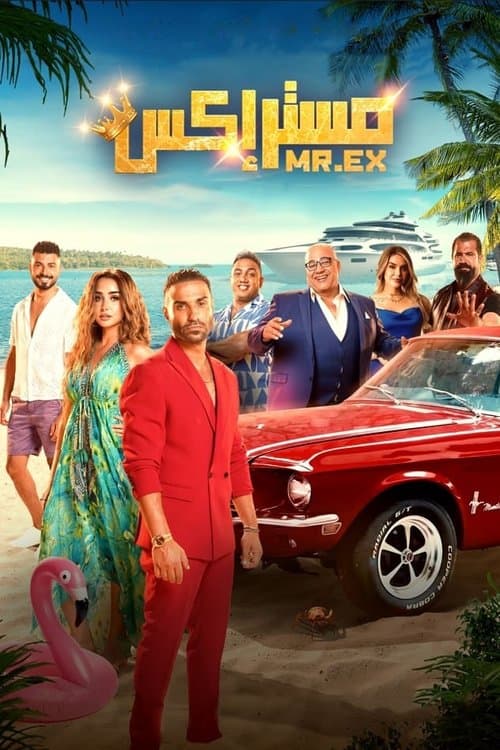 مستر إكس afişi
