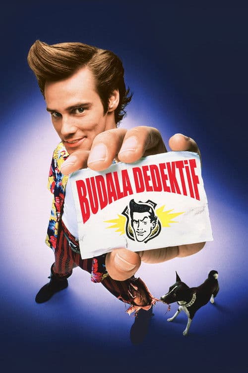 Budala Dedektif afişi