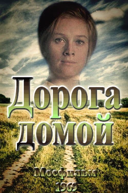 Дорога домой afişi