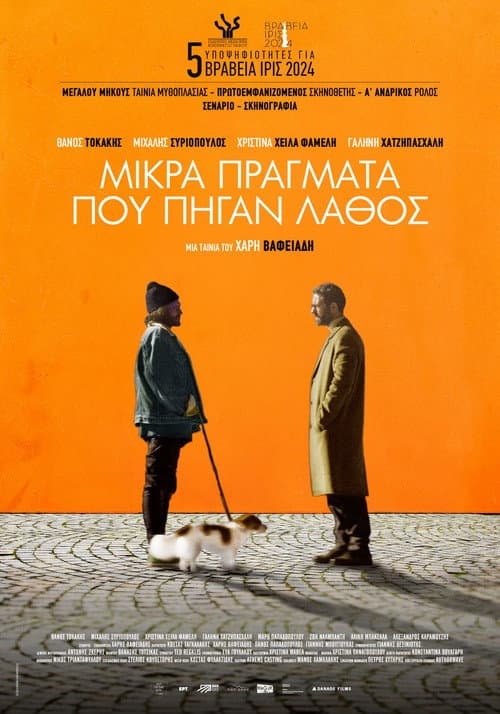 Μικρά Πράγματα Που Πήγαν Λάθος afişi