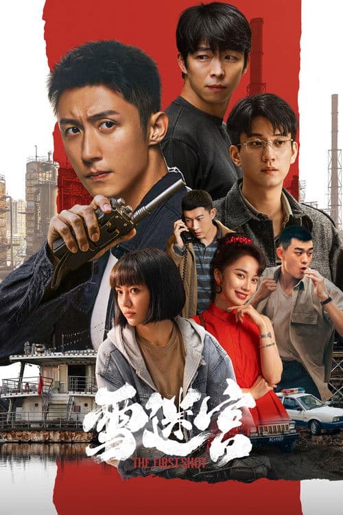 雪迷宫 afişi