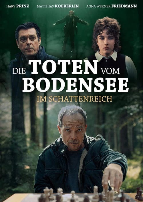 Die Toten vom Bodensee – Im Schattenreich afişi