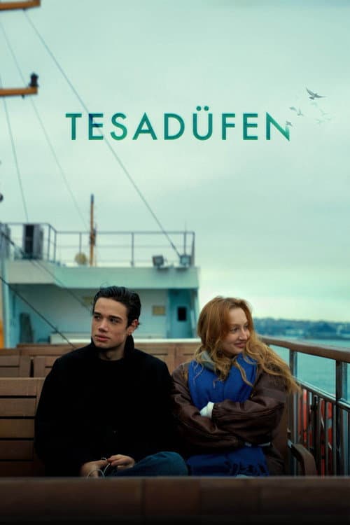 Tesadüfen afişi