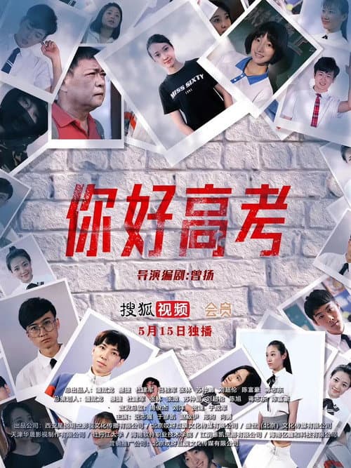 你好高考 afişi