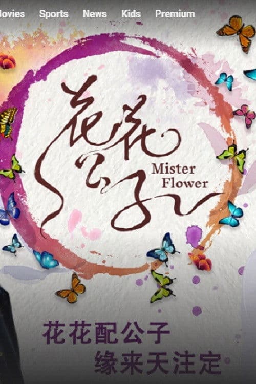 Mister Flower afişi