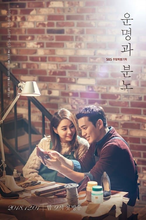 운명과 분노 afişi