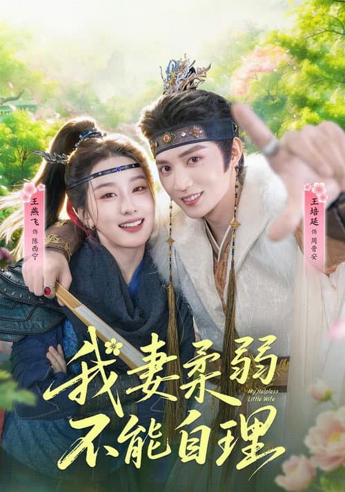 我妻柔弱不能自理 afişi