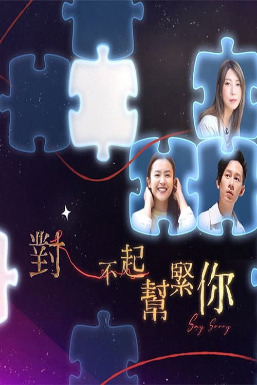 對不起幫緊你 afişi