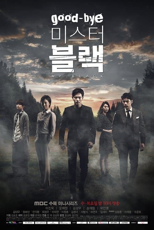 굿바이 미스터 블랙 afişi