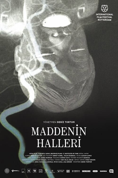 Maddenin Halleri afişi