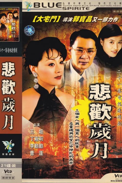 悲欢岁月 afişi