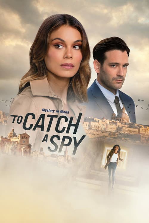To Catch a Spy afişi