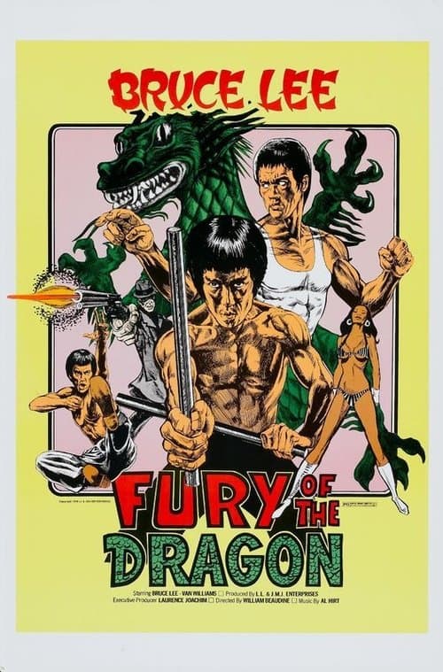 Fury of the Dragon afişi
