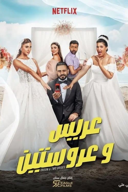 Bir Damat, İki Gelin afişi