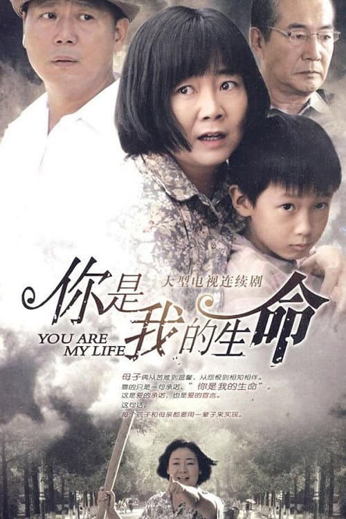 你是我的生命 afişi