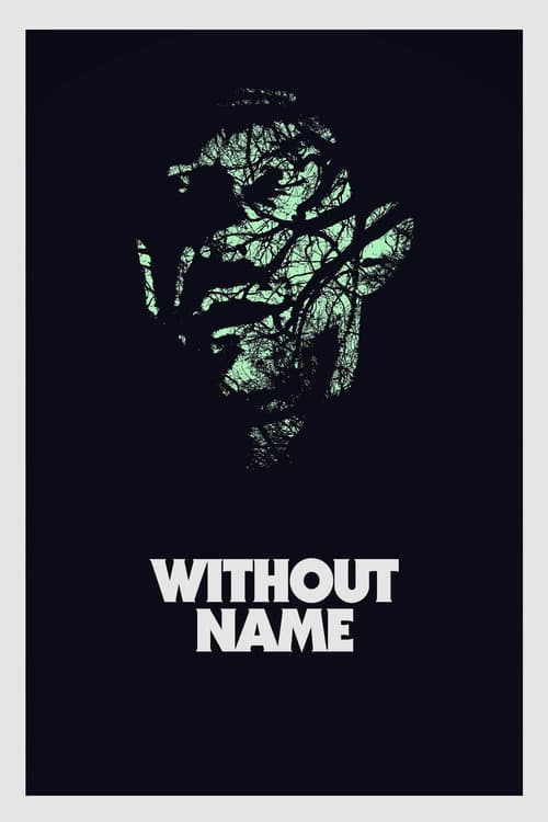 Without Name afişi