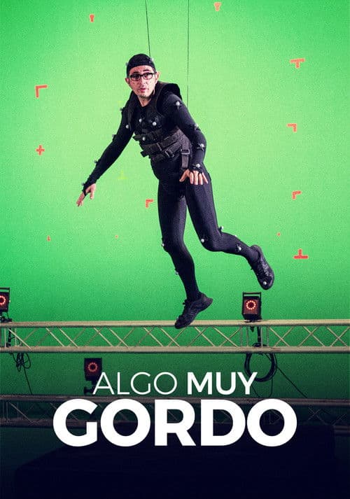 Algo muy gordo afişi