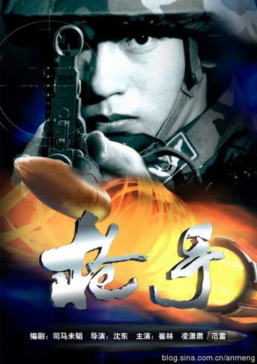 枪手 afişi