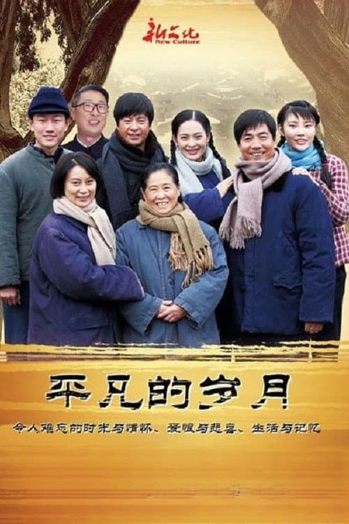 平凡的岁月 afişi