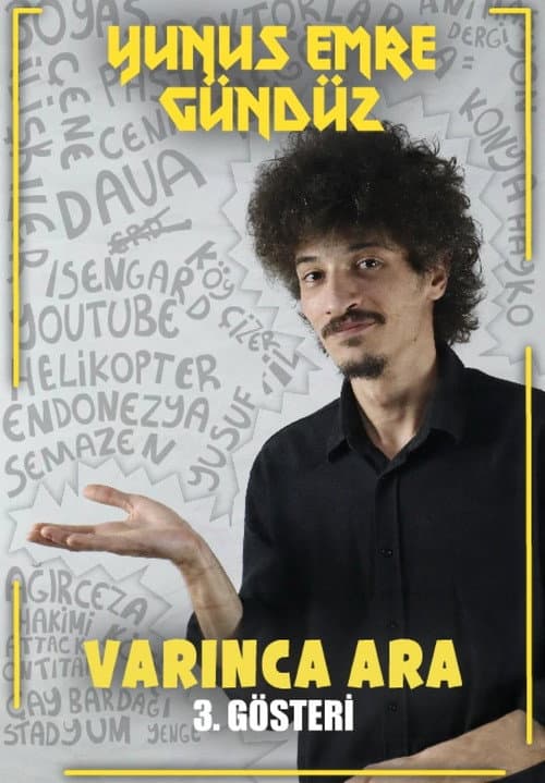Varınca Ara afişi