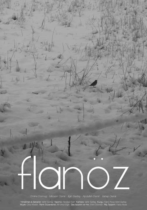 Flanöz afişi