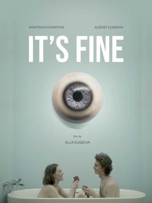 It's Fine afişi