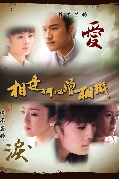 相逢何必曾相识 afişi