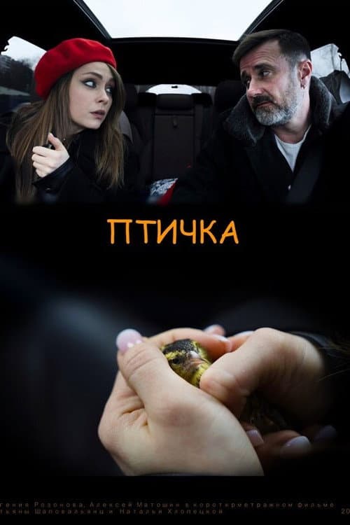 Птичка afişi