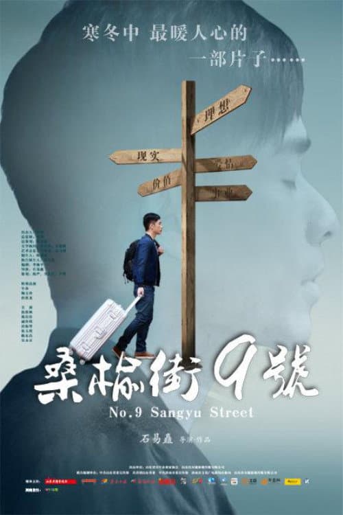 桑榆街9号 afişi
