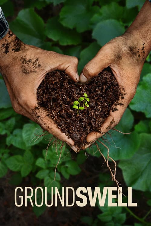 Groundswell afişi