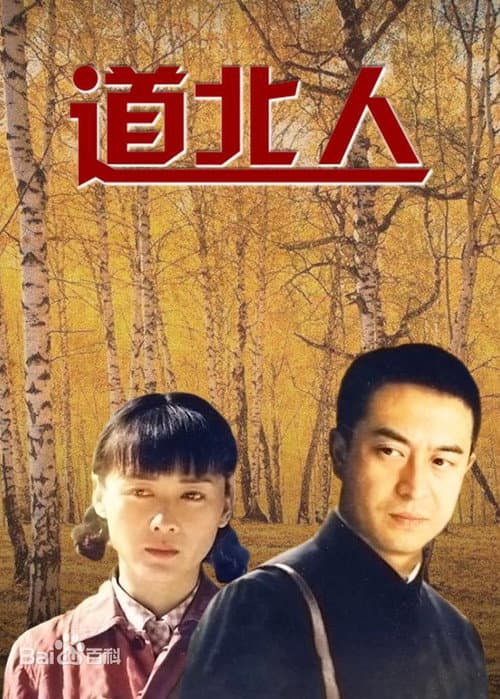 道北人 afişi