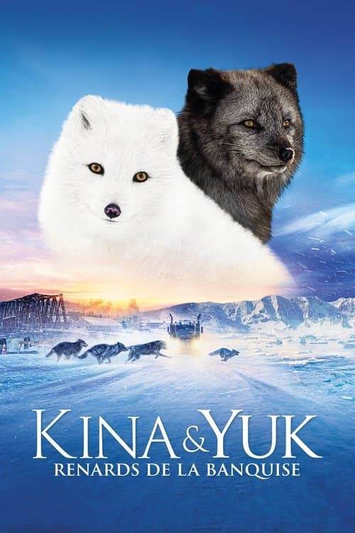 Kina & Yuk : Renards de la banquise afişi