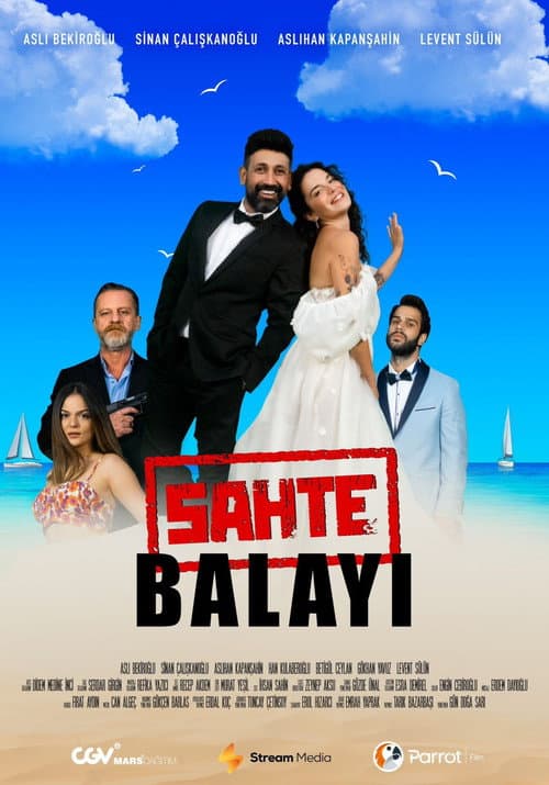 Sahte Balayı afişi