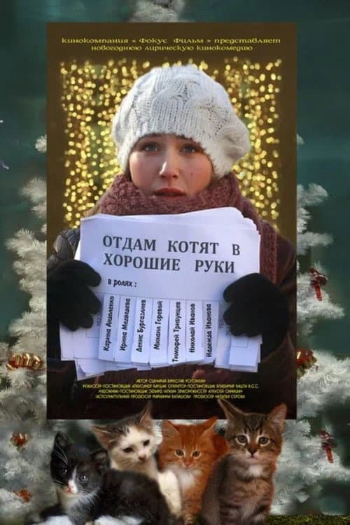 Отдам котят в хорошие руки afişi