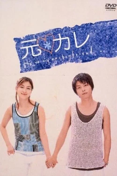 元カレ afişi