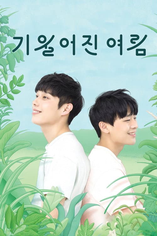 기울어진 여름 afişi